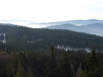 Studie: Šumava ukrývá 44 miliard, přílišné zásahy ji o hodnotu připraví