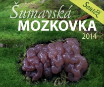  Šumavská mozkovka 2014 - soutěž