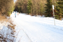 Bílá Stopa Šumava - aktuální stav lyžařských tras 