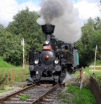 Nenechte si ujít jízdy historickým vláčkem po národním parku Šumava