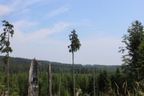 Tip na výlet - vydejte se na horskou osadu Bučina 