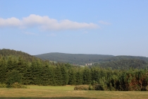 Na Šumavě našli nejstarší český smrk, pamatuje i Karla IV.